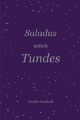 Saladus peitub tundes