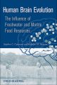 Human Brain Evolution. The Influence of Freshwater and Marine Food Resources