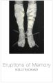 Eruptions of Memory. The Critique of Memory in Chile, 1990-2015