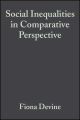 Social Inequalities in Comparative Perspective