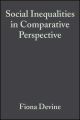 Social Inequalities in Comparative Perspective