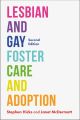 Lesbian and Gay Foster Care and Adoption, Second Edition