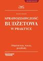 Sprawozdawczosc budzetowa w praktyce
