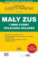 Maly ZUS i inne formy oplacania skladek