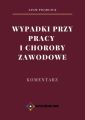 Wypadki przy pracy i choroby zawodowe.