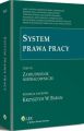 System prawa pracy. TOM VII. Zatrudnienie niepracownicze