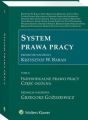 System prawa pracy. TOM II. Indywidualne prawo pracy. Czesc ogolna