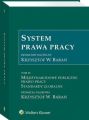 System Prawa Pracy. TOM IX. Miedzynarodowe publiczne prawo pracy. Standardy globalne