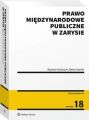 Prawo miedzynarodowe publiczne w zarysie
