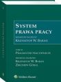 System prawa pracy. TOM XI. Pragmatyki pracownicze