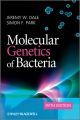 Molecular Genetics of Bacteria