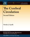 The Cerebral Circulation