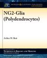 NG2-Glia (Polydendrocytes)