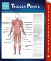 Trigger Points (Speedy Study Guides)