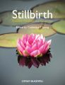 Stillbirth. Prediction, Prevention and Management