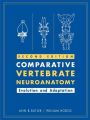 Comparative Vertebrate Neuroanatomy