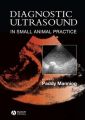 Diagnostic Ultrasound in Small Animal Practice