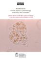 Amebiasis: Clinical Aspects, Epidemiology, Diagnosis, and Treatment
