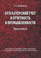 Бухгалтерский учет и отчетность в промышленности. Практикум