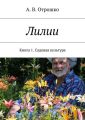 Лилии Лилии
