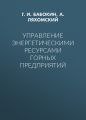 Управление энергетическими ресурсами горных предприятий