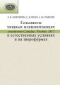 Гельминты хищных млекопитающих (семейство Canidae, Fischer, 1817) в естественных условиях и на зверофермах