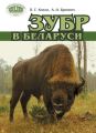 Зубр в Беларуси Зубр в Беларуси