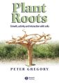 Plant Roots