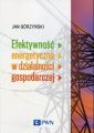 Efektywnosc energetyczna w dzialalnosci gospodarczej