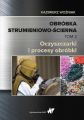 Obrobka strumieniowo-scierna Tom 2