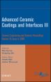 Advanced Ceramic Coatings and Interfaces III
