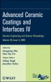 Advanced Ceramic Coatings and Interfaces IV