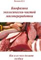 Биофизика экологически-чистой мясопереработки. Как и из чего делают колбасу
