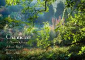 Chanticleer