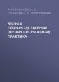 Вторая производственная (профессиональная) практика