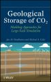 Geological Storage of CO2. Modeling Approaches for Large-Scale Simulation