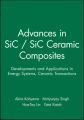 Advances in SiC / SiC Ceramic Composites