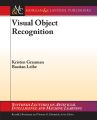 Visual Object Recognition