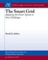 The Smart Grid