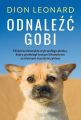 Odnalezc Gobi