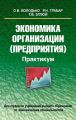 Экономика организации (предприятия). Практикум