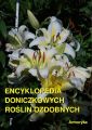 Encyklopedia doniczkowych roslin ozdobnych