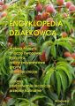 Encyklopedia dzialkowca