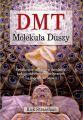 DMT. Molekula Duszy