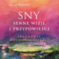 Sny, senne wizje i przypowiesci. Fragmenty duchowej sciezki