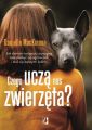 Czego ucza nas zwierzeta?