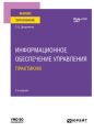Информационное обеспечение управления. Практикум 2-е изд. Учебное пособие для вузов
