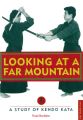 Looking at a Far Mountain