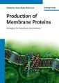 Production of Membrane Proteins. Strategies for Expression and Isolation