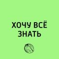 Как устроен взрослый мир?